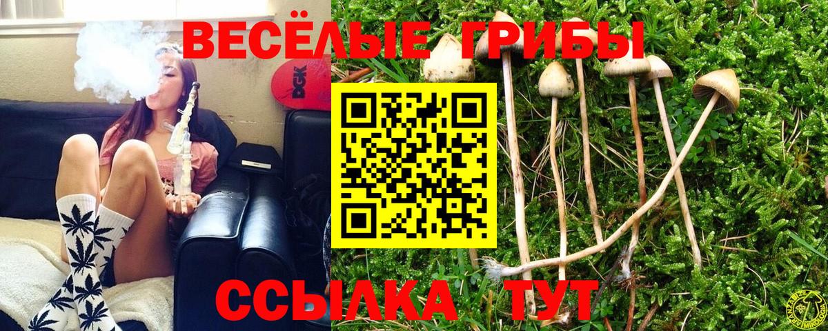 Псилоцибиновые грибы Psilocybe  Галлюциногенные грибы Psilocybe  Энгельс  Вход с VPN 